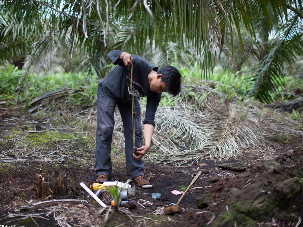 ការលូតលាស់នៃចំណេះដឹងល្អ